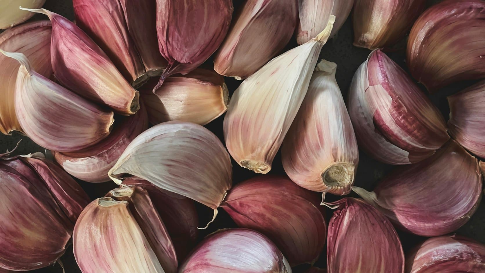 Purple-striped garlic cloves spread on a dark surface, ready to be planted.