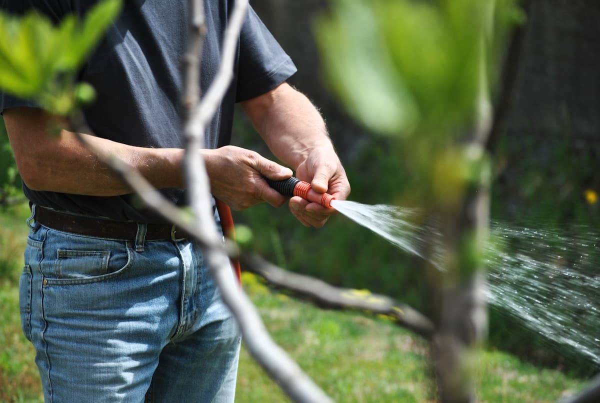 Gardener watering plants with a garden hose nozzle in a backyard garden.
