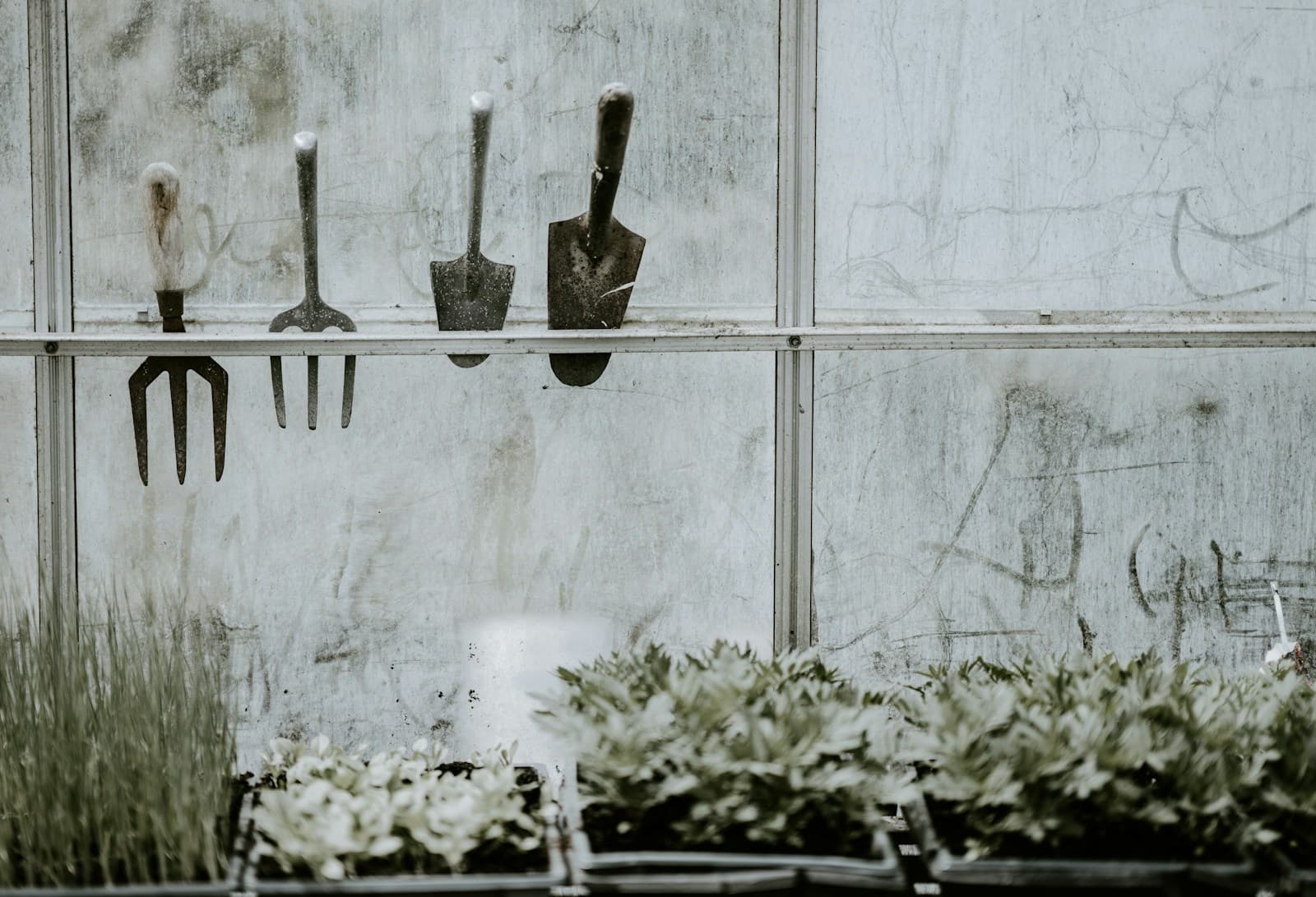 Garden trowels set out beside a potting and planting workspace.