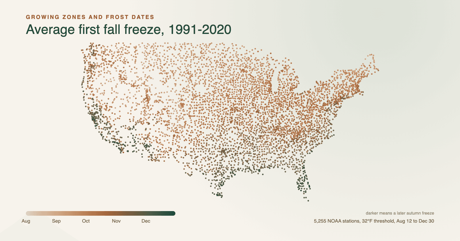 United States map of 5,255 NOAA weather stations coloured by their average first fall freeze: dark green along the Gulf coast, Florida and the desert southwest, rust and tan across the northern states.