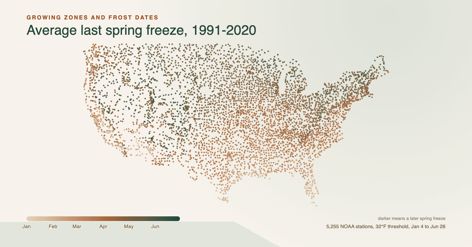 United States map of 5,255 NOAA weather stations coloured by their average last spring freeze: tan across the South and the warm coasts, dark green across the northern states and the Rockies.