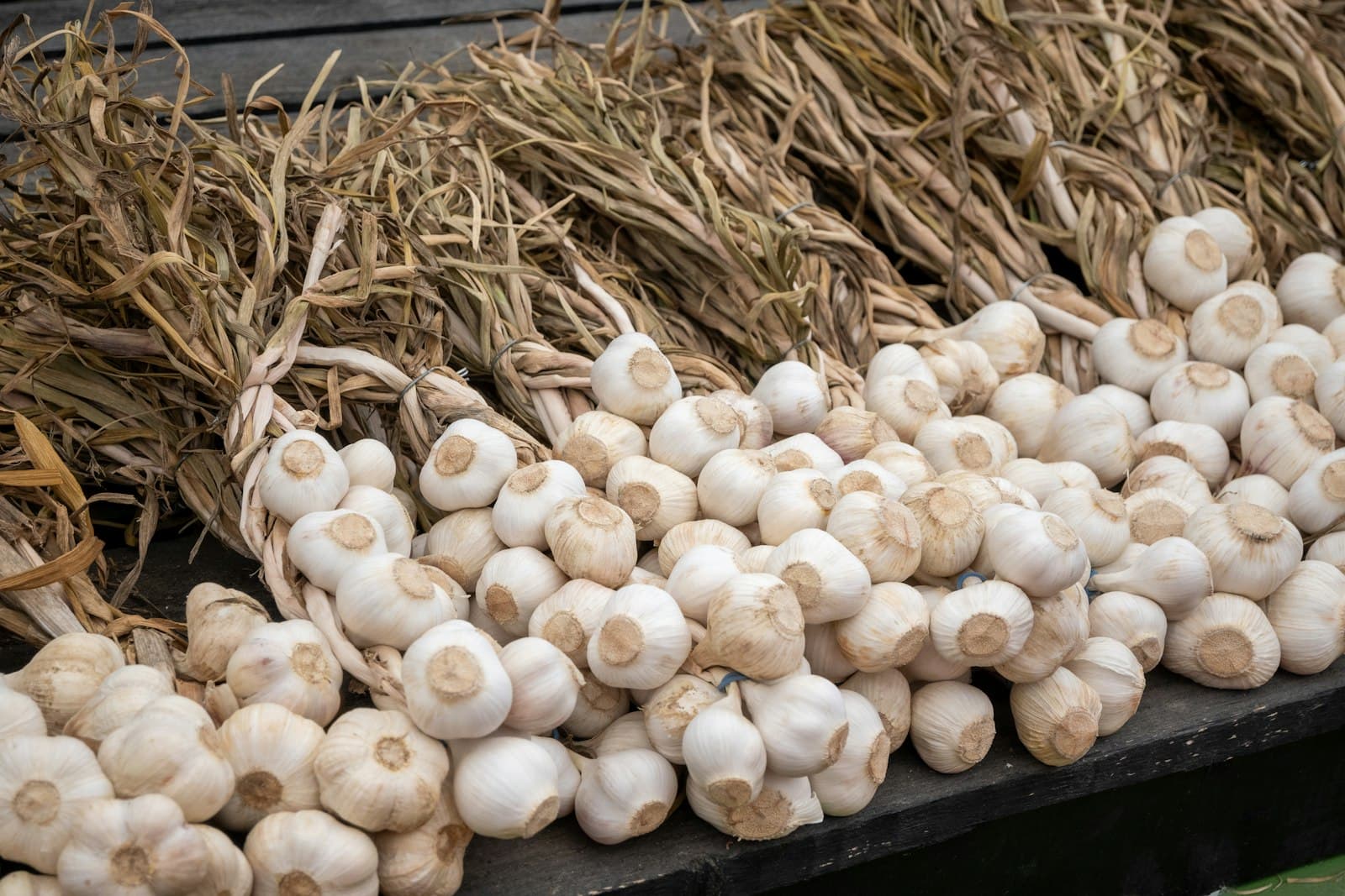 Cured garlic braids and loose bulbs resting on a dark wooden bench.