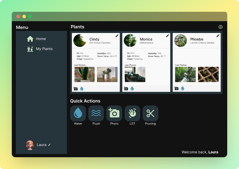 Dashboard image example